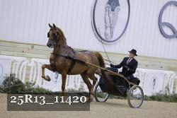 25R13_11420 thumbnail