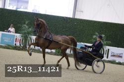 25R13_11421 thumbnail