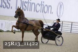 25R13_11422 thumbnail