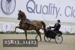 25R13_11423 thumbnail