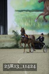 25R13_11424 thumbnail