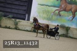 25R13_11432 thumbnail
