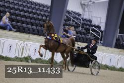 25R13_11433 thumbnail