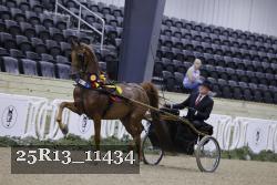 25R13_11434 thumbnail