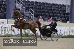 25R13_11436 thumbnail