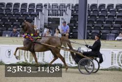 25R13_11438 thumbnail