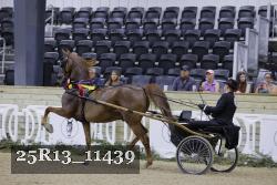 25R13_11439 thumbnail