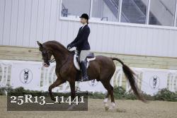 25R13_11441 thumbnail