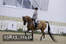 25R13_11442 thumbnail