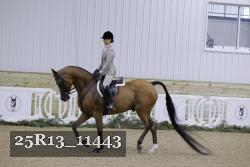25R13_11443 thumbnail
