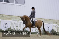 25R13_11444 thumbnail