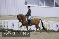 25R13_11445 thumbnail