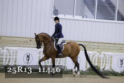 25R13_11446 thumbnail