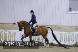 25R13_11447 thumbnail