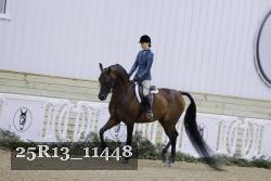 25R13_11448 thumbnail