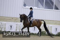 25R13_11449 thumbnail
