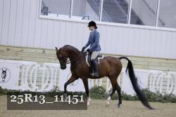 25R13_11451 thumbnail