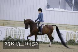 25R13_11452 thumbnail