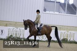 25R13_11456 thumbnail