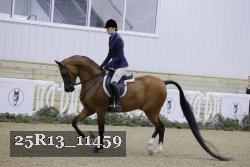 25R13_11459 thumbnail
