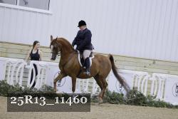 25R13_11460 thumbnail