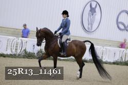 25R13_11461 thumbnail
