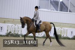 25R13_11463 thumbnail