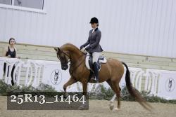 25R13_11464 thumbnail