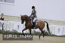 25R13_11466 thumbnail