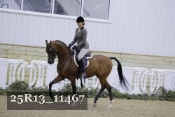 25R13_11467 thumbnail
