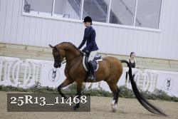 25R13_11468 thumbnail