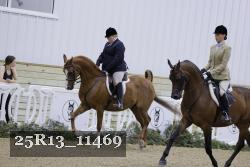 25R13_11469 thumbnail