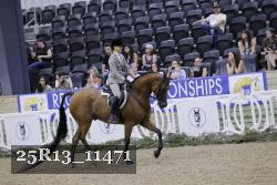 25R13_11471 thumbnail