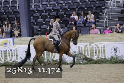 25R13_11472 thumbnail