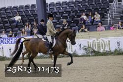 25R13_11473 thumbnail