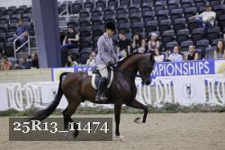25R13_11474 thumbnail