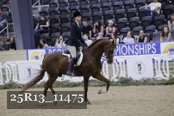 25R13_11475 thumbnail