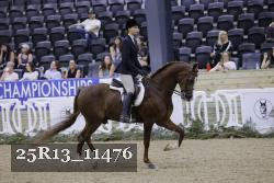 25R13_11476 thumbnail