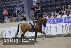 25R13_11477 thumbnail