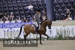 25R13_11478 thumbnail