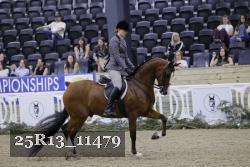 25R13_11479 thumbnail