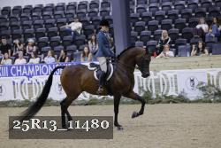25R13_11480 thumbnail