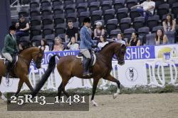 25R13_11481 thumbnail