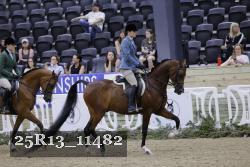 25R13_11482 thumbnail