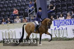 25R13_11483 thumbnail