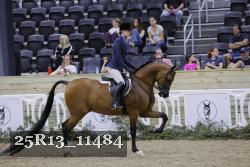 25R13_11484 thumbnail