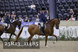 25R13_11485 thumbnail