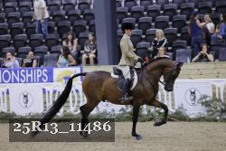 25R13_11486 thumbnail