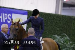 25R13_11491 thumbnail