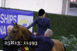 25R13_11493 thumbnail